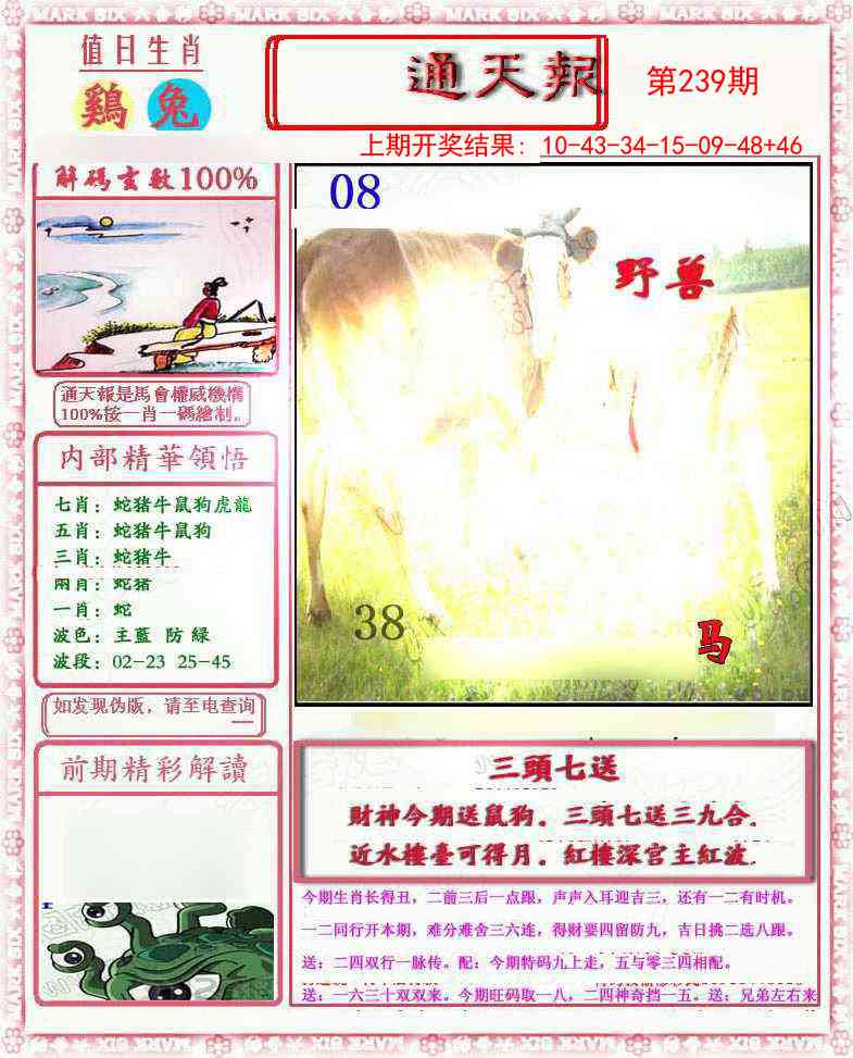 239期小喜通天报[图]