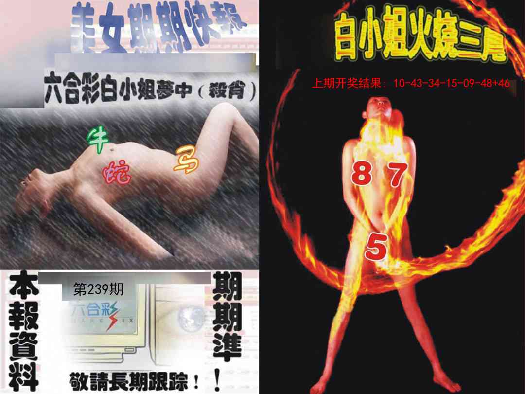 239期环球美女特码报[图]