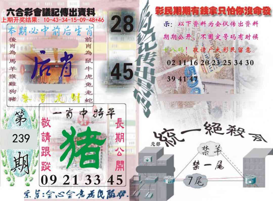 239期六合彩会议记录[图]