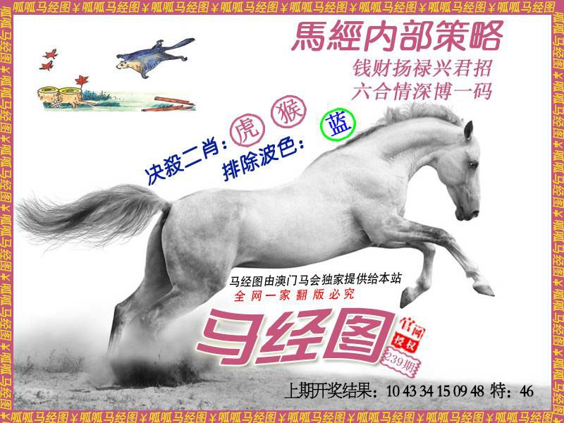 239期马经5[图]