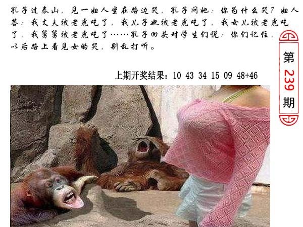 239期澳门生活幽默[图]