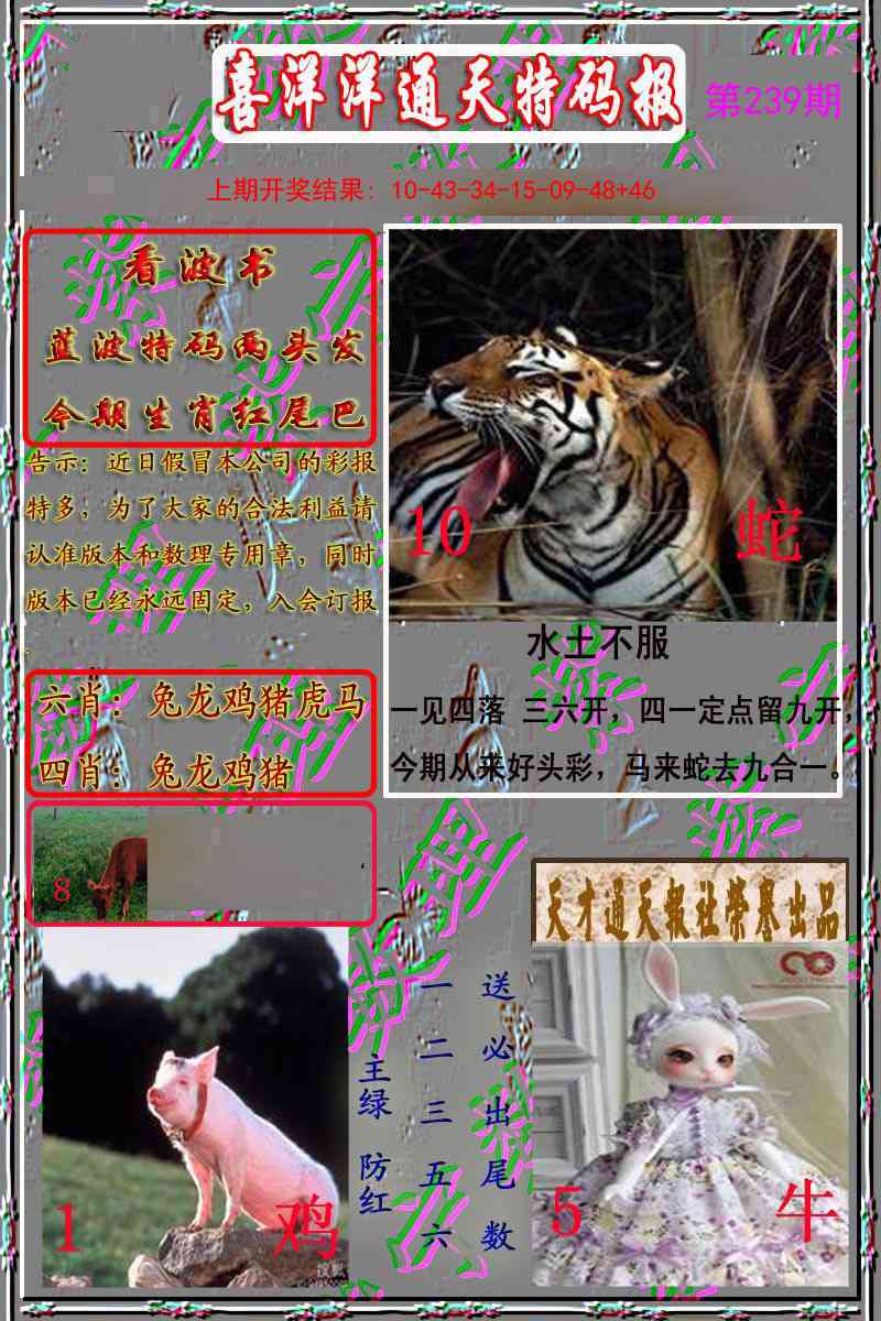 239期洋通报[图]