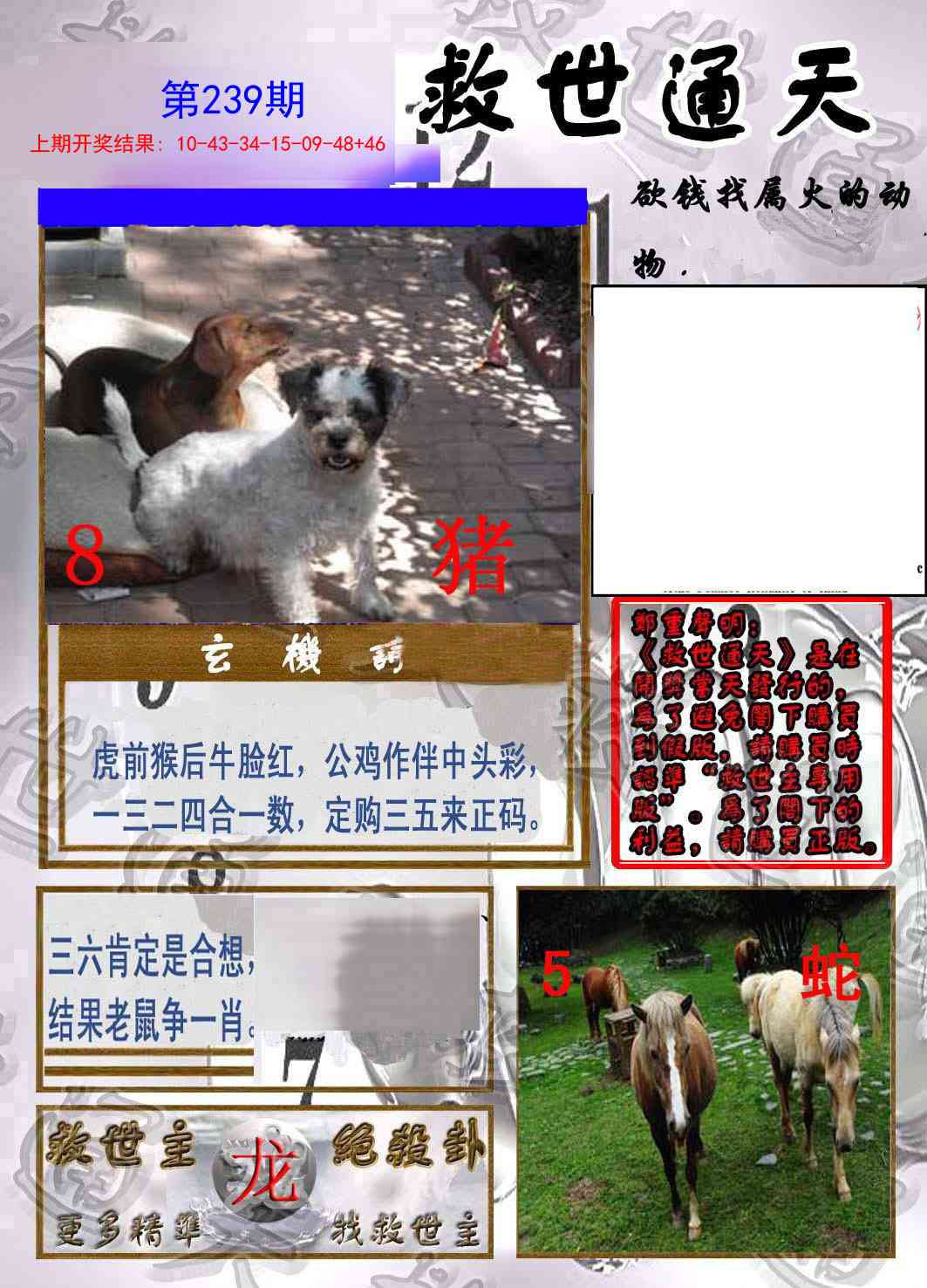 239期救世通天报[图]
