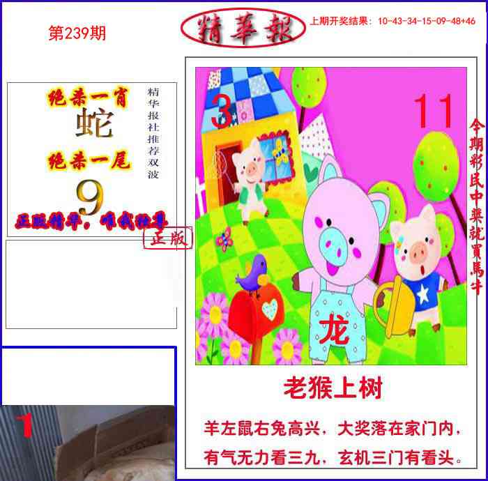 239期新精华报报[图]