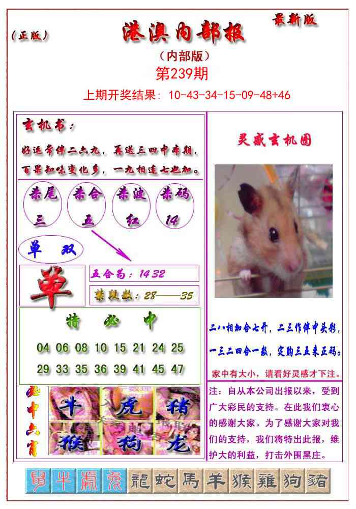 239期港澳报[图]