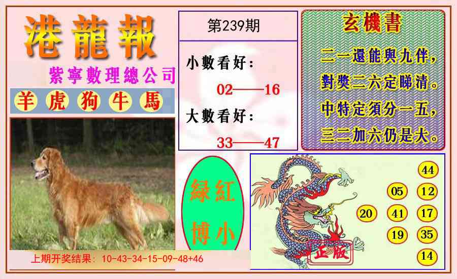 239期港龙报[图]