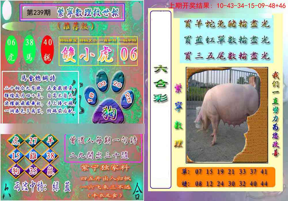 239期数理救世报[图]