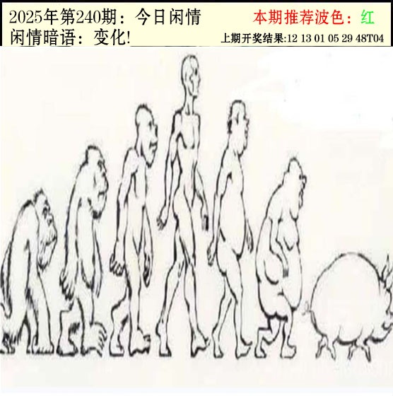 240期今日闲情2[图]