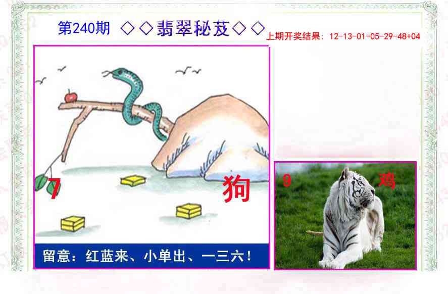 240期翡翠报[图]