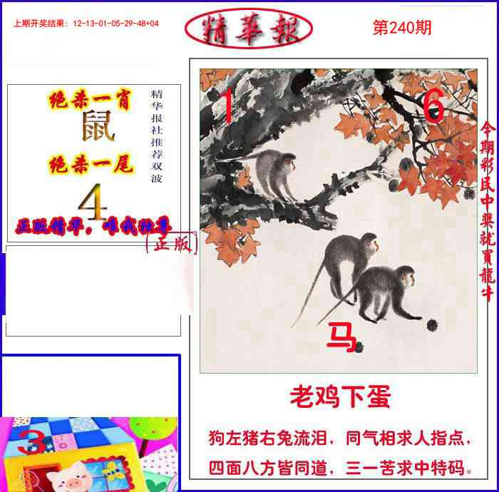 240期新精华报报[图]
