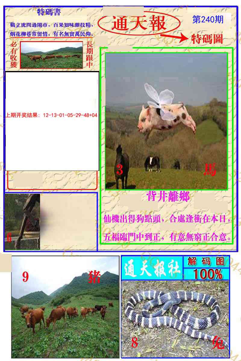 240期通天特解图[图]