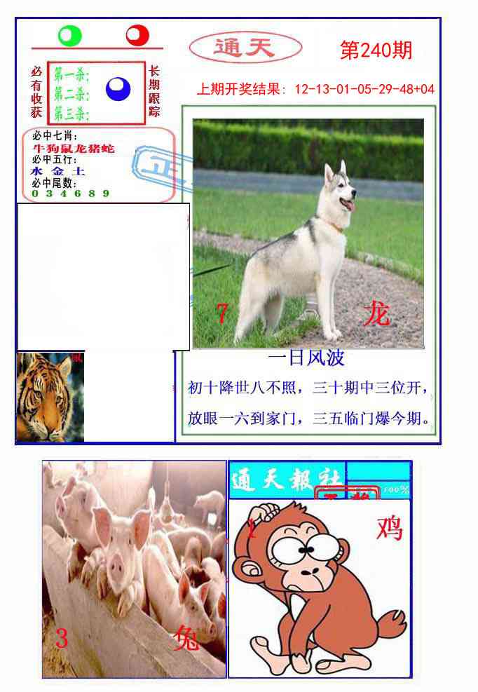 240期通天杀波图2[图]