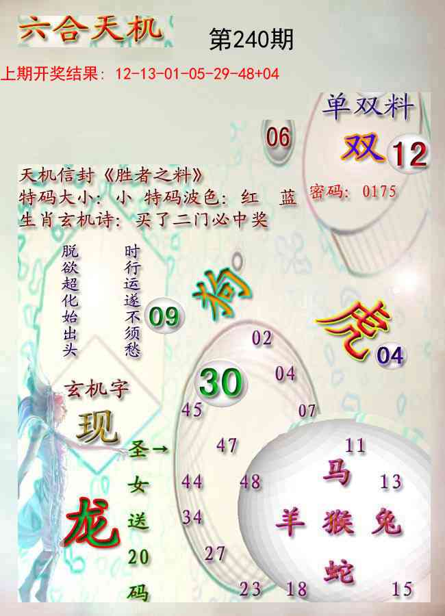 240期天机报[图]