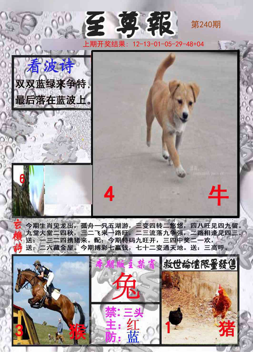 240期至尊报[图]