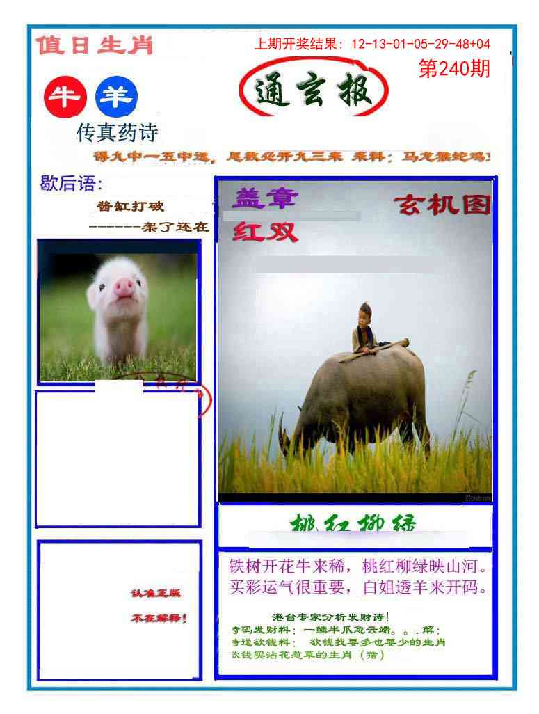 240期通玄报[图]