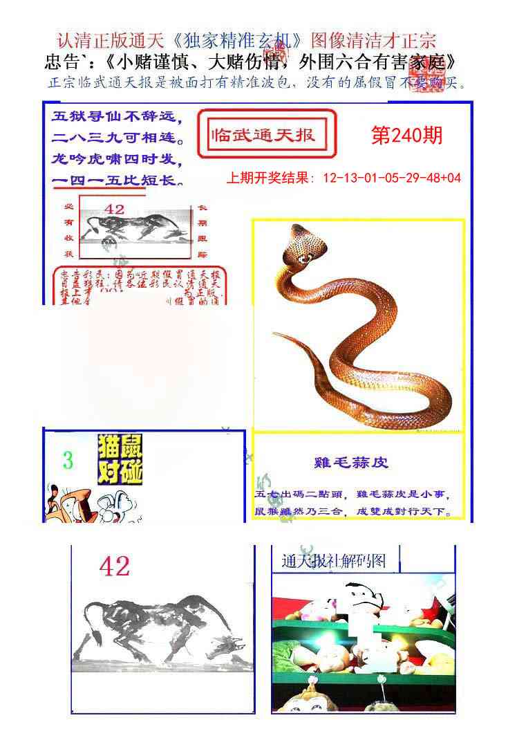 240期临武通天报[图]