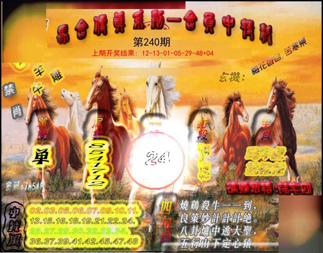 240期马会传真-会员报[图]