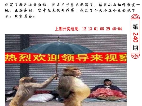 240期澳门生活幽默[图]