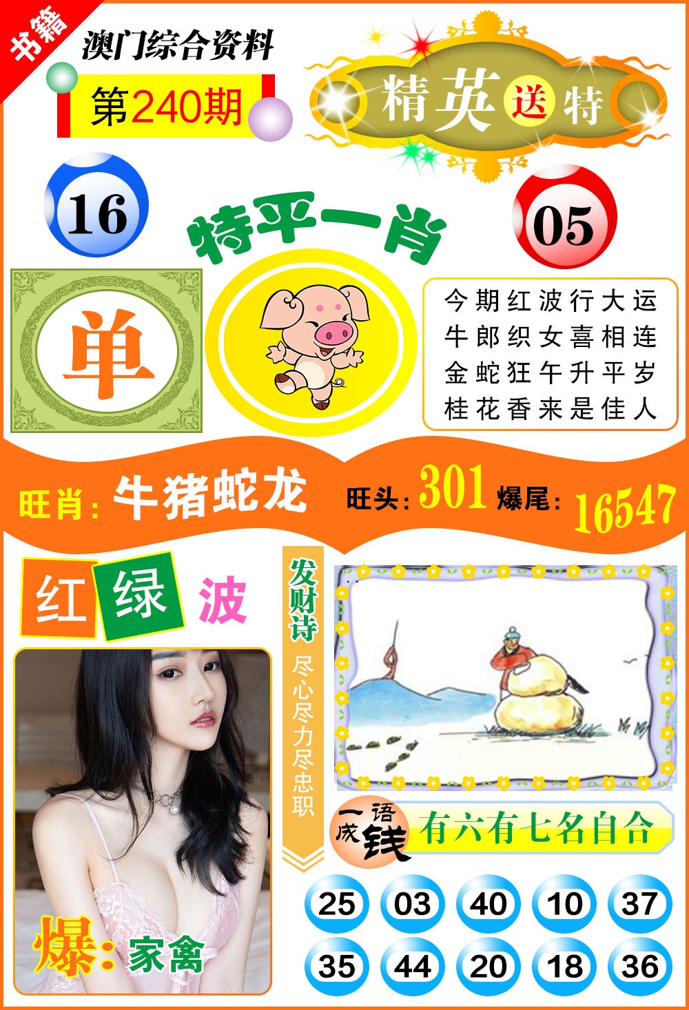 240期澳门综合资料[图]