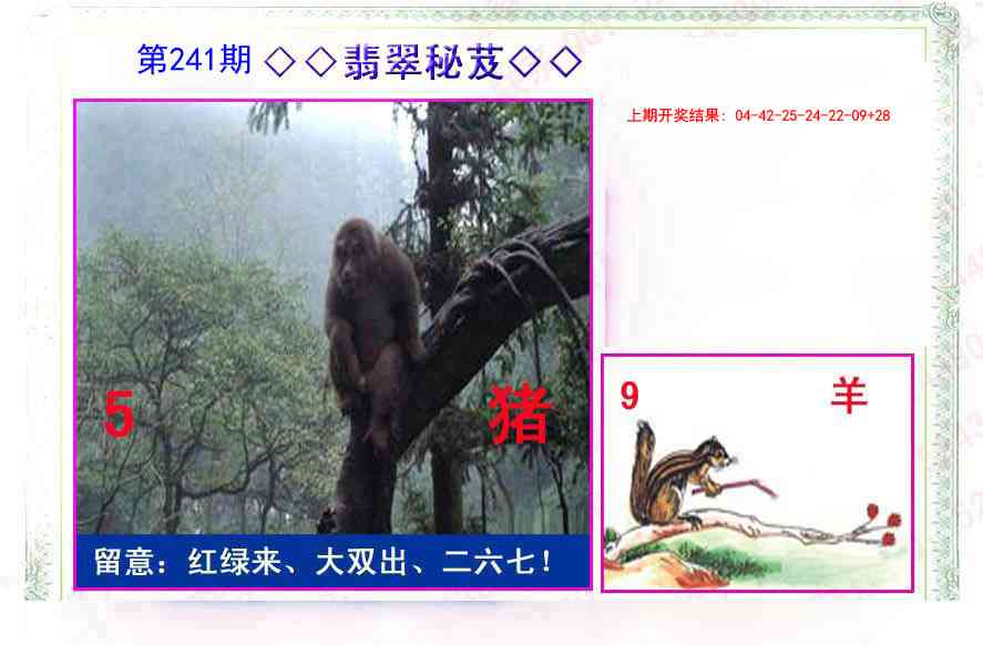 241期翡翠报[图]