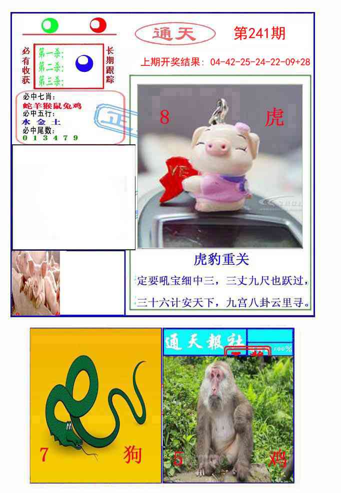 241期通天杀波图2[图]