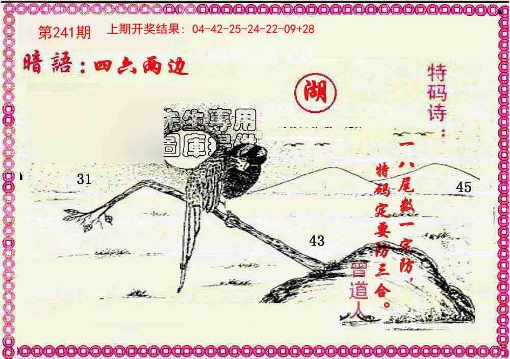 241期新暗语报[图]