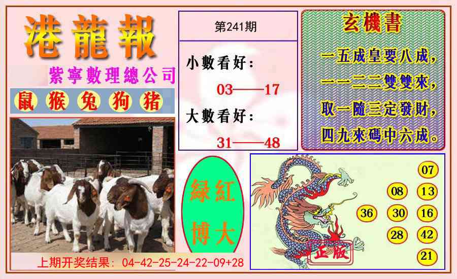 241期港龙报[图]