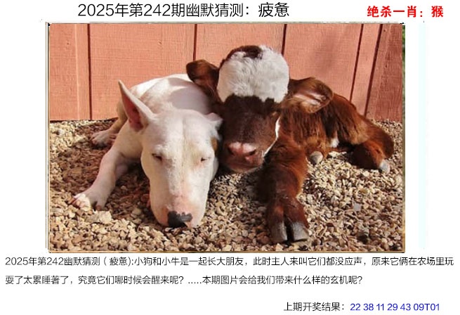 242期幽默猜测[图]