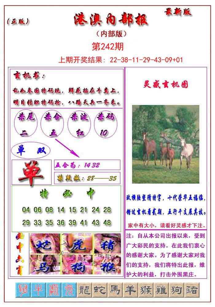 242期港澳报[图]