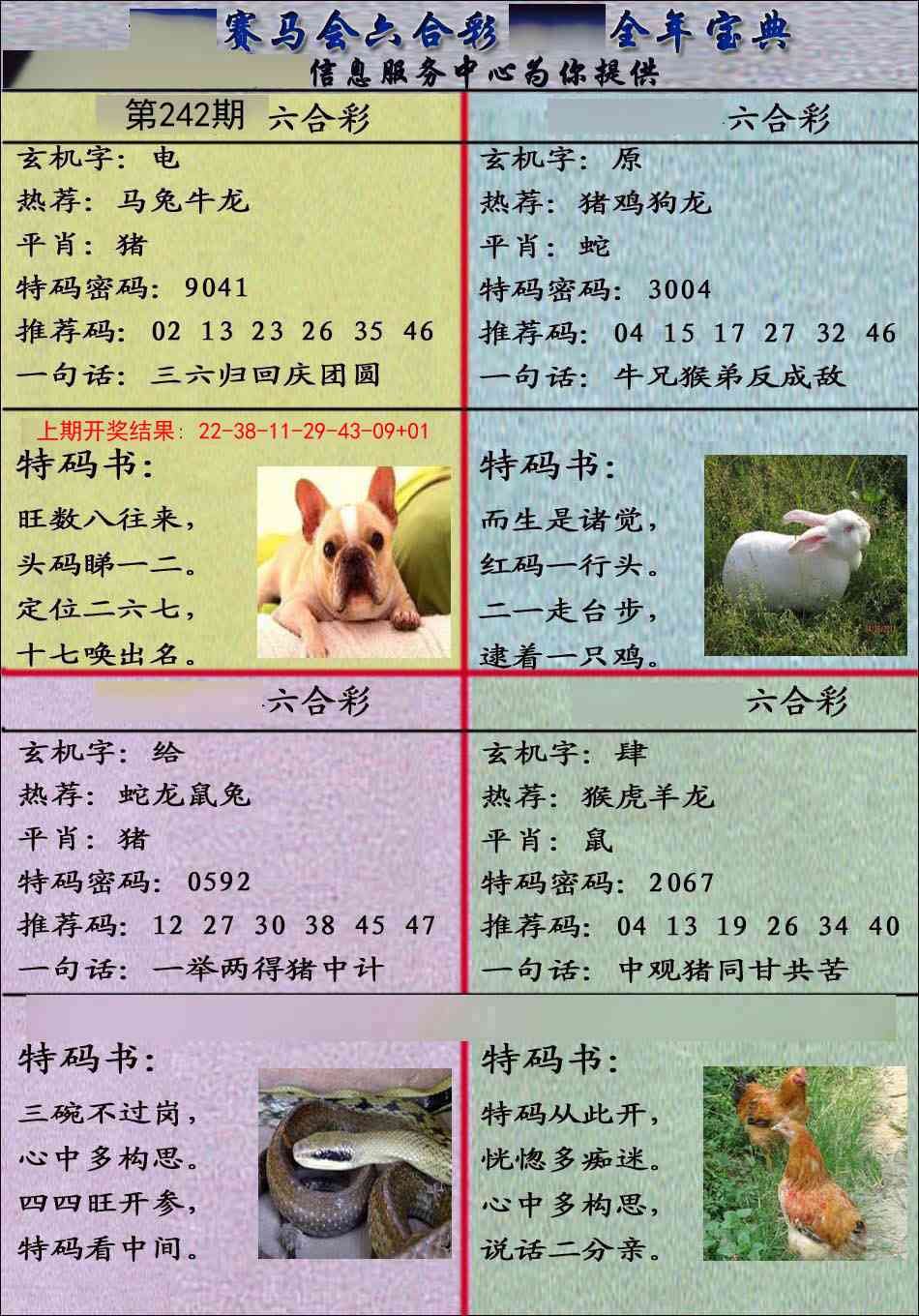 242期宝典报[图]