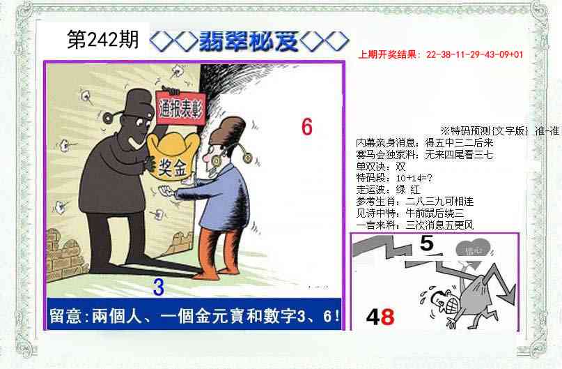 242期另翡翠秘笈[图]