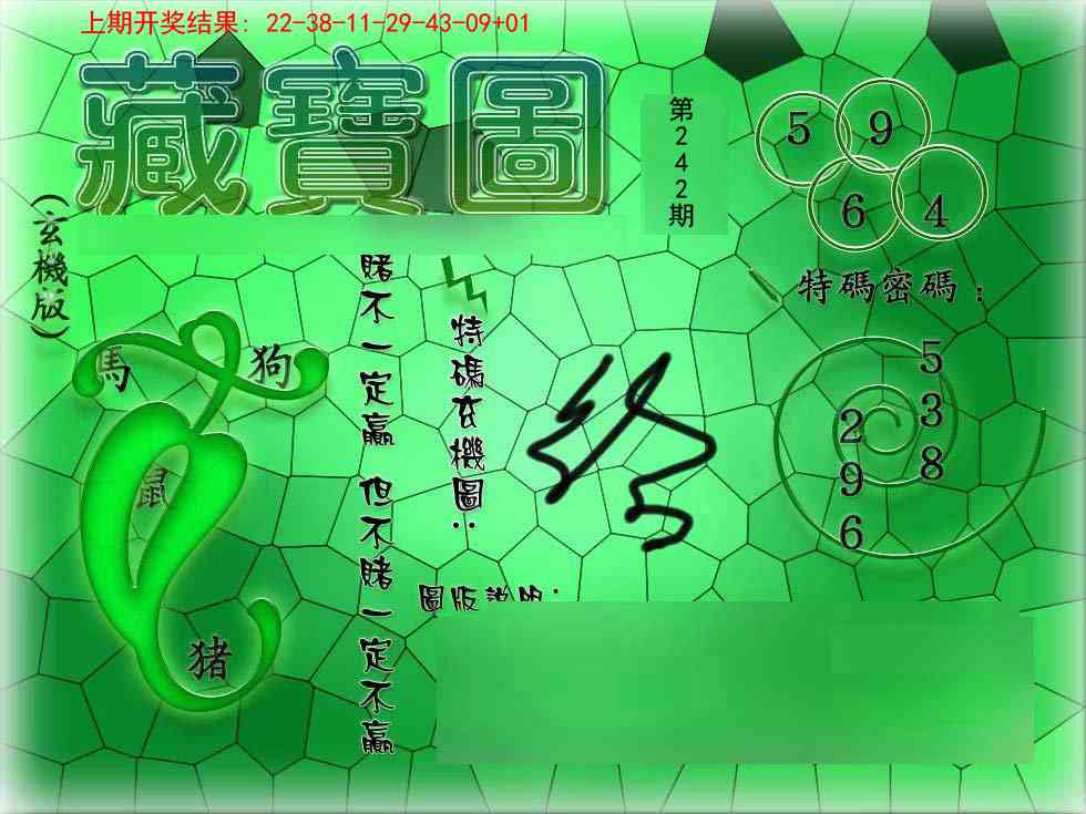 242期九龍玄机报[图]