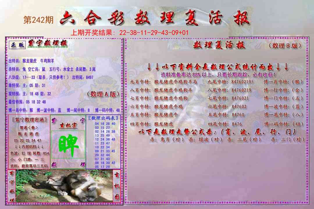 242期数理复活报[图]