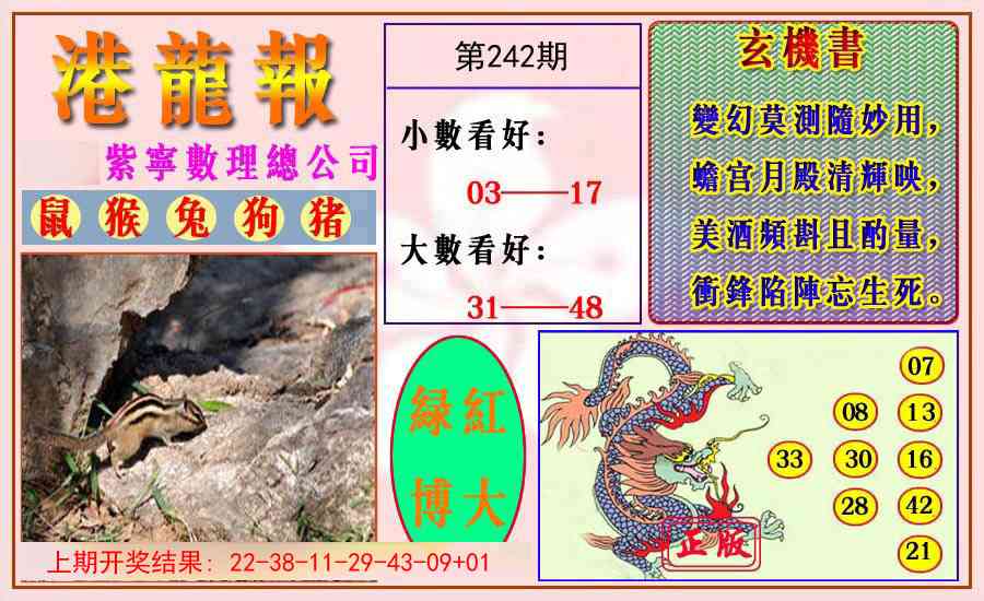 242期港龙报[图]