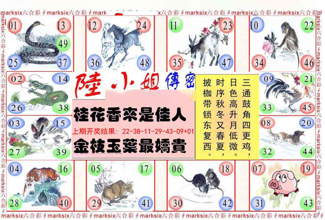 242期陆小姐传密B[图]