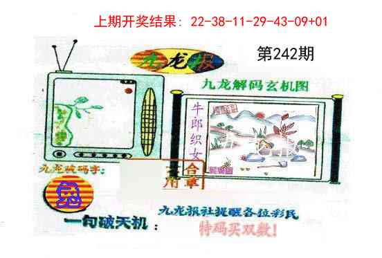 242期九龙报[图]