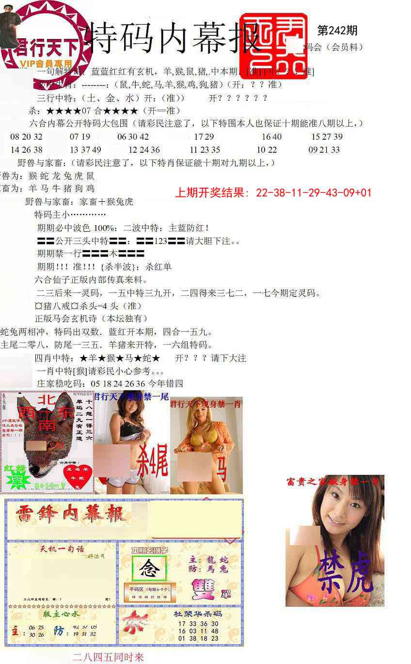 242期特码内幕报[图]