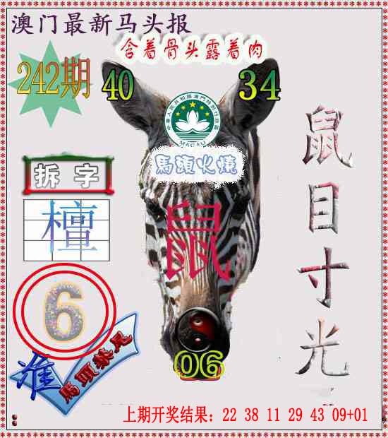 242期马头报[图]