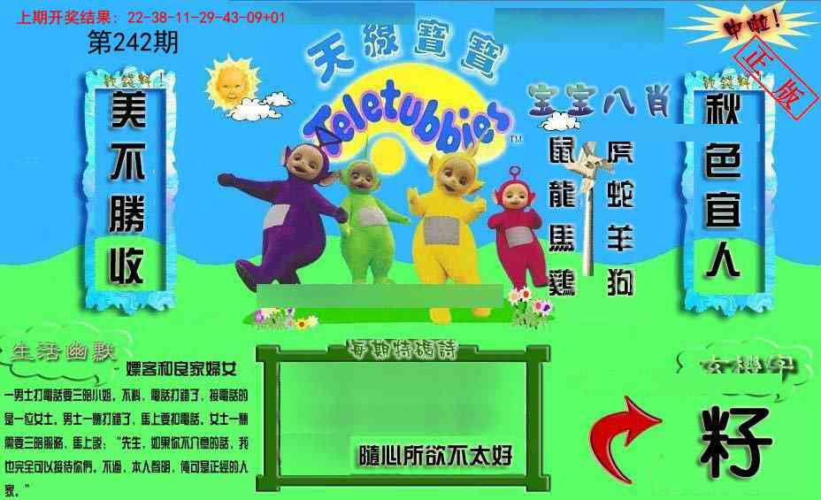 242期新天线宝宝(2006一版)[图]