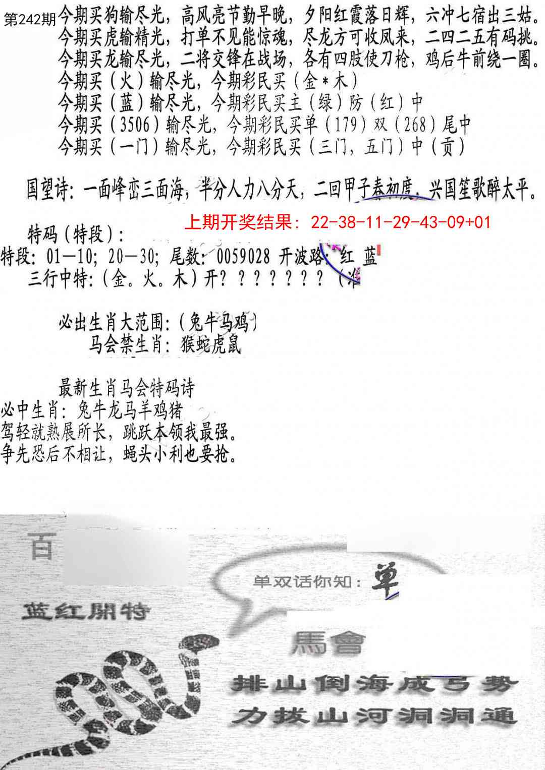 242期蛇报B[图]