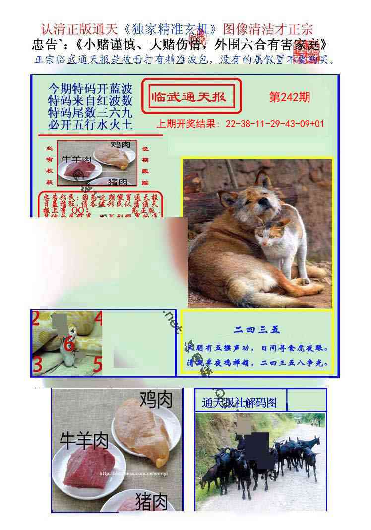 242期临武通天报[图]