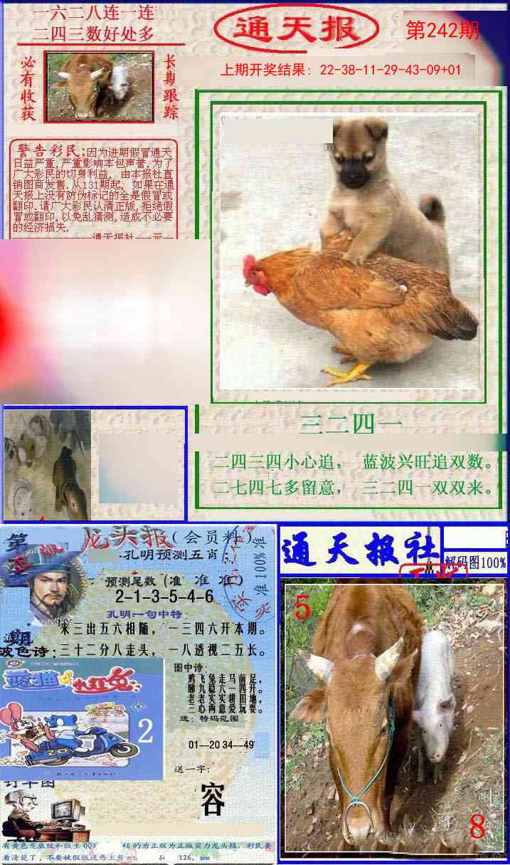 242期实力通天报[图]