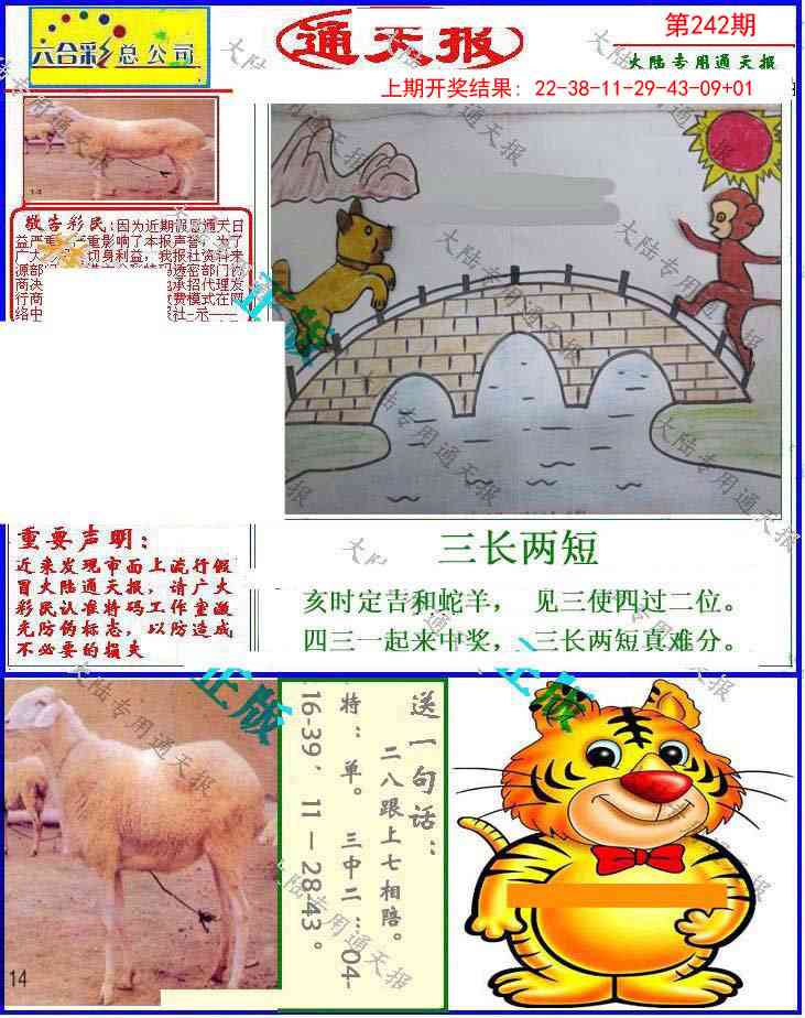 242期大陆通天报[图]