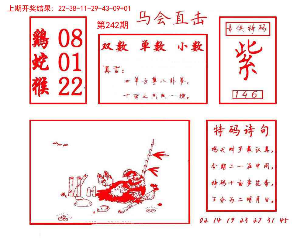 242期马会直击[图]