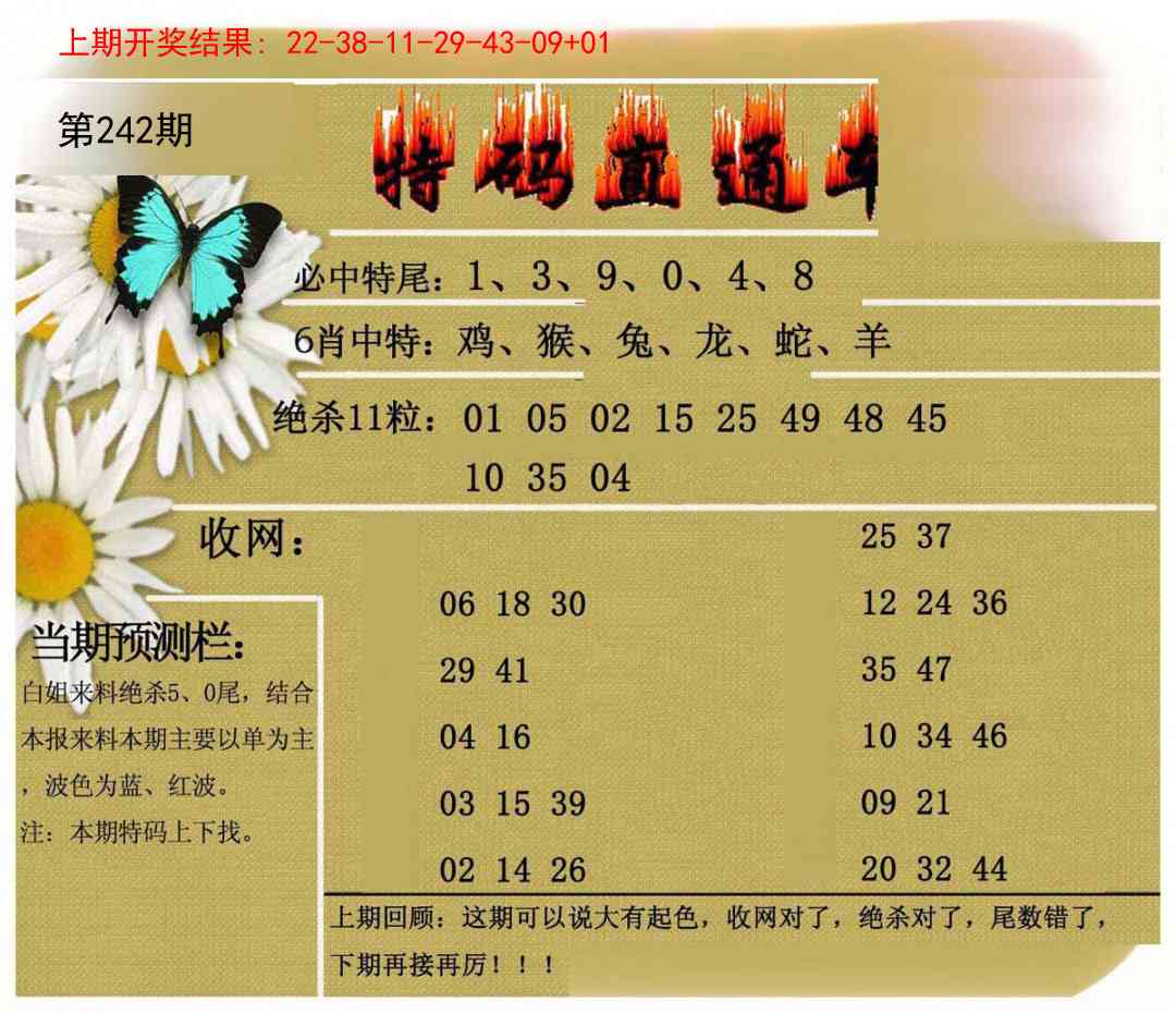 242期特码直通车[图]