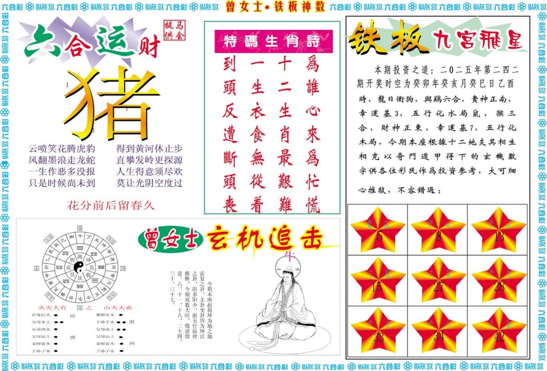 242期曾女士铁板神数B[图]