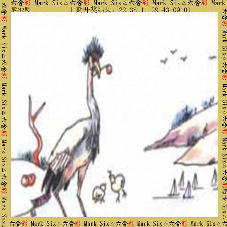 242期藏宝图[图]