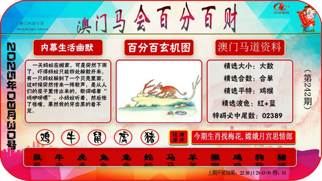 242期百分百财经[图]