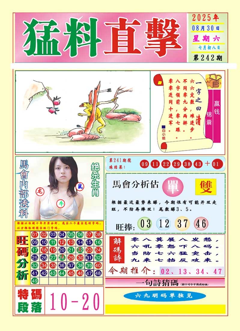 242期猛料直击A[图]