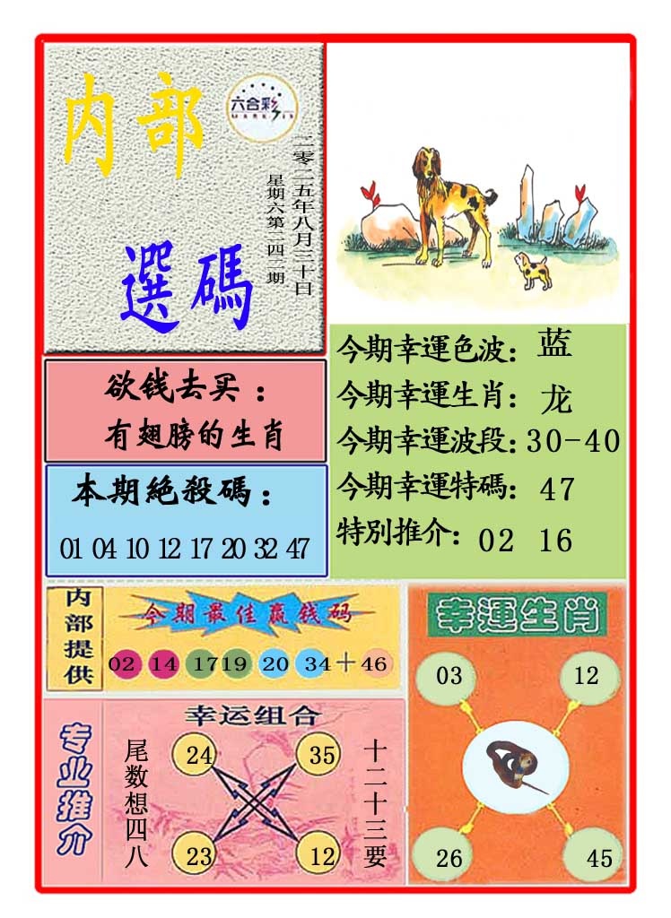 242期马会内部选码[图]